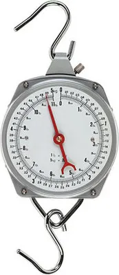 Produktbild von KERBL Zeigerschnellwaage Premium Heuwaage Bis 100 Kg