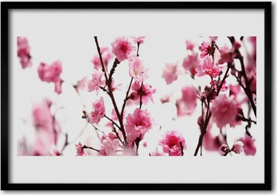 Produktbild von Bild 70x50 MDF-Rahmen Wandkunst Branchen Blumen Pflanze