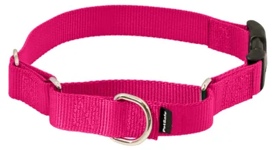 Image de Collier martingale PetSafe pour chien, avec boucle de fermeture rapide, taille petite, 1,9 cm