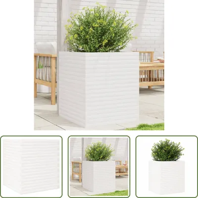 Produktbild von The Living Store Pflanzkübel Weiß 60x60x68,5 cm Massivholz Kiefer