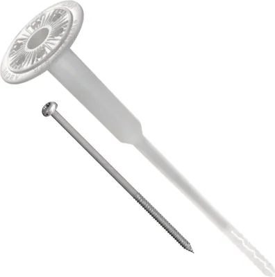 A product shot of a screw and a plastic anchor on a white background.