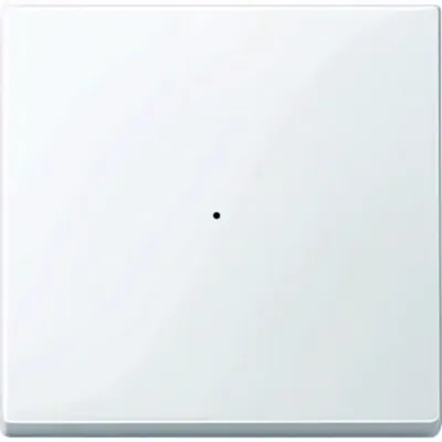 Produktbild von Merten MEG5210-0325 Wippe für Taster-Modul 1fach, aktivweiß glänzend, System M