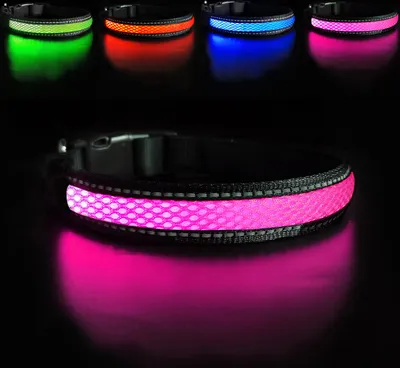 Produktbild von LED Hundehalsband – Leuchtendes Sicherheitshalsband in vielen Farben – USB wiederaufladbar, wasserdicht, 3 Leuchtmodi – Größen S, M, L ROSA Größe L