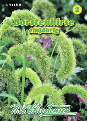 Produktbild von Borstenhirse | Gräsersamen von N.L. Chrestensen