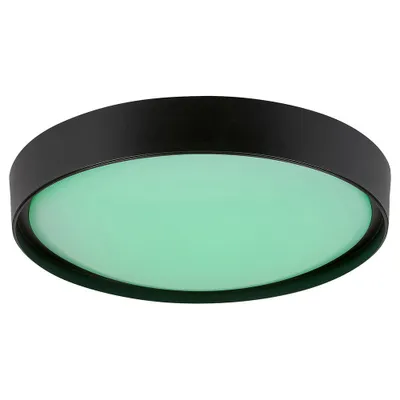 Immagine prodotto di Rabalux SMART WIFI Nero Plafoniera LED Achilles 500mm 40W RGB+CCT con DO 3146