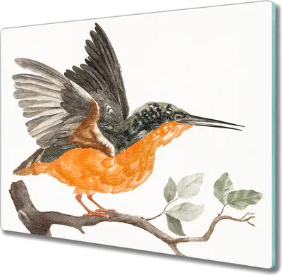 Produktbild von Coloray Herdabdeckplatte 60x52 cm Schneidebrett Kochplattenabdeckung Küchenbrett Hackbrett - Tier Vogel Zweig