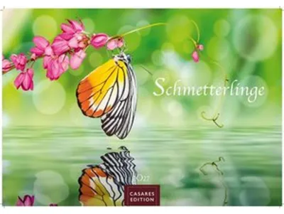 Image de Calendrier Papillons 2027 - Calendrier mural | Calendrier photo Calendrier animalier 35 x 50 cm Grand format - Avec de magnifiques photos de papillons riches en détails.