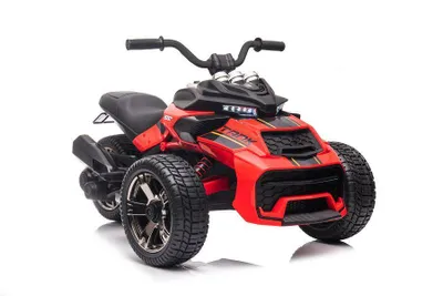 Image de Tricycle électrique pour enfants MP3