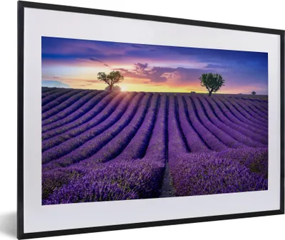 Produktbild von MuchoWow® Gerahmtes Poster Lavendel - Hügel - Sonnenuntergang - Bpmen - Lila 60x40 cm - Poster mit Schwarzem Bilderrahmen Wandposter Rahmen Foto Bilder - Schlafzimmer - Plakat in Rahmen - Drucken