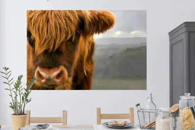 Produktbild von MuchoWow® - Selbstklebend - Fototapeten