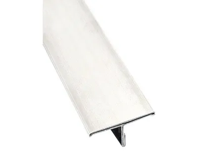 Obrázek produktu pro Lišta NEREZ T profil 25x2500 mm