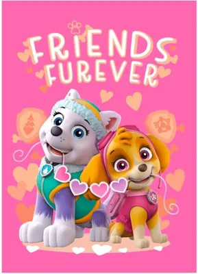 Produktbild von Unyqoos® Fleecedecke Paw Patrol – rosa Kuscheldecke für Mädchen mit Skye & Everest, 150 x 100 cm, 100% Polarfleece, warm