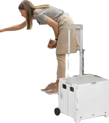 Image de Chariot de courses, construction légère, capacité de charge 80 kg, volume de rangement 32 litres, poignée télescopique réglable, dimensions 41,5 x 32,5 x 85 cm