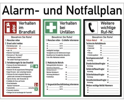 Produktbild von Dreifke® Schild Alarm- und Notfallplan ISO 7010, Kunststoff, 620x480 mm