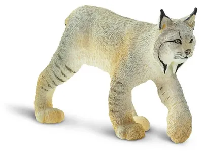 Obrázek produktu pro Safari Ltd 181829 Figurka rys