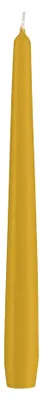 Produktbild von Spitzkerzen Mostarda Senf 240 x Ø 23 mm, 50 Stück