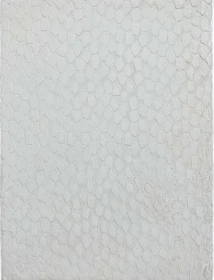 Immagine prodotto di Tappeto a rilievo bianco extra morbido 120x160