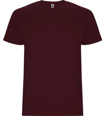 Produktbild von Roly - "Stafford" T-Shirt für Kinder LT5595 (104) (Granatrot)