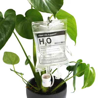 Productafbeelding van Automatisch bewateringssysteem voor kamerplanten, druppelirrigatie, 1 set, voor plantverzorging