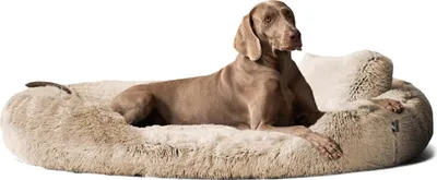 Zdjęcie produktu dla tierlando® Legowisko ortopedyczne dla psa PAMELA Shaggy przytulne długie włosie - Rozmiar: 175x115cm | Kolor: 14 Beige