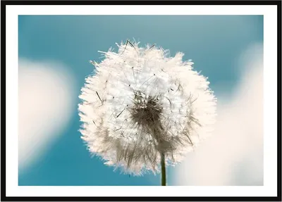 Produktbild von BILDPOSTER IM RAHMEN 33x43 cm Boho P2251