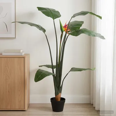 Image de Plante Strelitzia artificielle Vert 70 x 18 x 155 cm