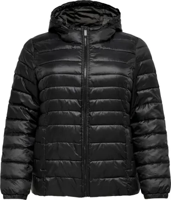 Produktbild von Jack&Jones CARTAHOE HOOD JACKET OTW NOOS Black L
