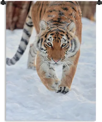 Produktbild von MuchoWow® Wandteppich Wandbehang Tiger - Schnee - Tiere 90x120 cm Tapisserie Dekoration Wandtuch - Wanddeko