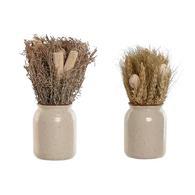 Image de Plante décorative Home ESPRIT Fleur 13 x 13 x 25 cm (2 pièces) (12 pièces)