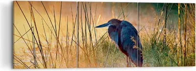 Produktbild von Bild auf Leinwand - Leinwandbild - Vogel Natur Wasser - 120x40cm - Wand Bild - Wanddeko - Leinwanddruck - Bilder - Kunstdruck - Wanddekoration - Leinwand bilder - Wandkunst - CA120x40-3708