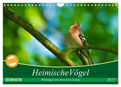 Produktbild von Heimische Vögel (Wandkalender 2027 DIN A4 quer), CALVENDO Monatskalender