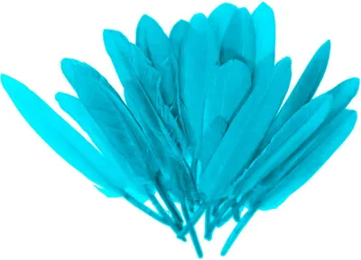 20 Entenfedern , 9-14 cm , türkisblau
