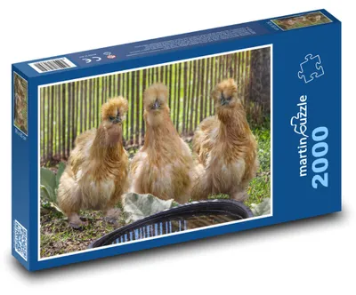 Obrázok produktu pre martinpuzzle - Puzzle 2000 - Kácatká