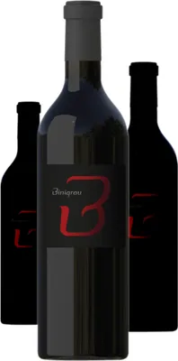 Produktbild von 3 x Binigrau B- Negre