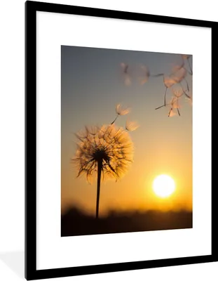 Produktbild von MuchoWow® Gerahmtes Poster Löwenzahn - Sonne - Sonnenuntergang 60x80 cm - Poster mit Schwarzem Bilderrahmen Wandposter Rahmen Foto Bilder - Wohnzimmer - Dekorationen - Prämie