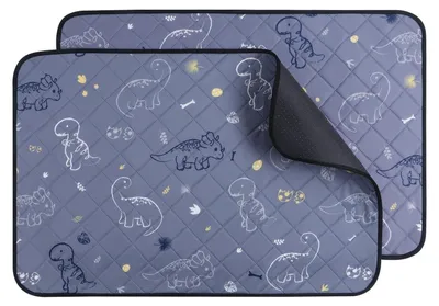 Productafbeelding van Wasbare Hond Plasmatten, 2 Stuks, Waterdicht en Antislip