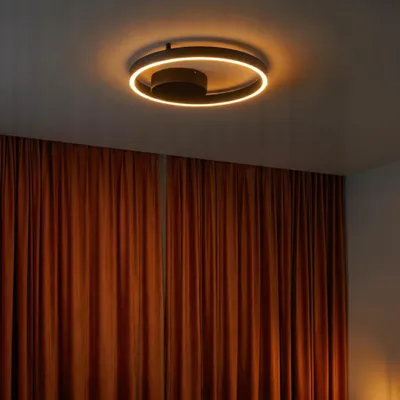Productafbeelding van Plafondlamp Hedra rond Ø 40cm zwart, AI-gegenereerde afbeelding