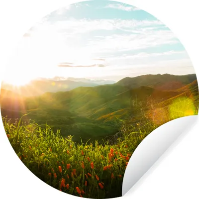 Produktbild von MuchoWow® Runde Wandtattoo - Wandsticker Tapete Aufkleber Hügel - Sonnenuntergang - Gras - Grün Ø 80 cm Selbstklebend und Repositionierbar - Wandaufkleber - Kreis - Mauerkreis - Wand Bilder - Wandsticker - Wohnzimmer Dekoration - Dekoration für die Wände - Aluminium - Babyzimmer