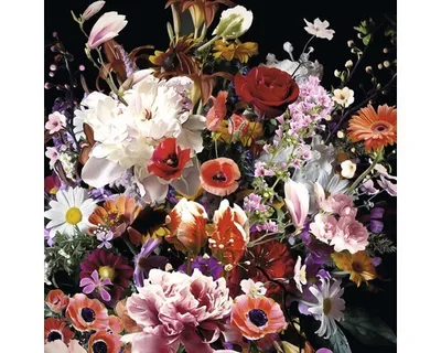 Produktbild von Glasbild Colourful Flowers 30x30 cm