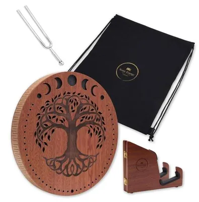 Imagen del producto de Meinl Sonic Energy, disco de lluvia de 12 pulgadas con diapasón
