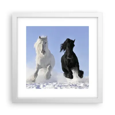 Produktbild von Gerahmtes Poster - Weißer Rahmen - Tiere Schönheit Wettbewerb - 30x30 cm - Wand Bild - Wanddeko - Wandbilder - Wandposter - Bilderrahmen - Bilder - Kunstdruck - Wandbild - P2WAC30x30-2179
