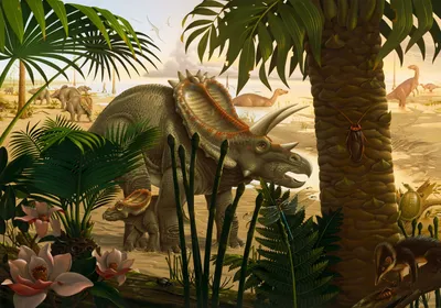 Produktbild von Komar Fototapete Anchieratops Jungle Grün - 610816 - 400 x 280 cm
