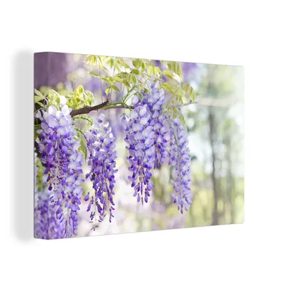 Obrázok produktu pre OneMillionCanvasses® - Obrazy na plátne - 140x90 cm, Fialová vistéria na vetve, nástenná umelecká dekorácia