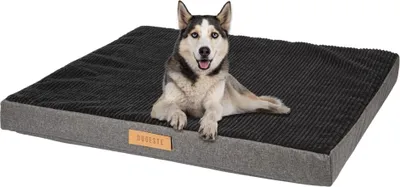 Image de Matelas orthopédique pour chien Dogeste 90x70 cm taille XL – gris-noir