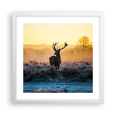 Produktbild von Gerahmtes Poster - Weißer Rahmen - Feld Nebel Natur Baum - 40x40 cm - Wand Bild - Wanddeko - Wandbilder - Kunstposter - Wandposter - Bilderrahmen - Bilder - Kunstdruck - Wandbild - P2WAC40x40-2428