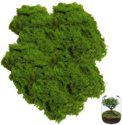 Produktbild von Kunstmoos 200g für Dekoration und Aquarium