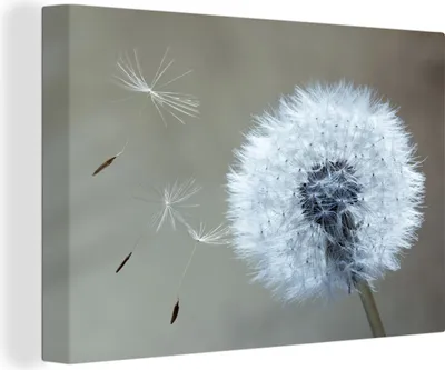 Produktbild von MuchoWow® - Leinwandbilder - Löwenzahn - Blume - Pflanze, Wandbild, Wanddeko Bilder Wohnzimmer, 120x80 cm