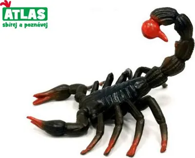 Image de A - Figurine Scorpion 7 Cm