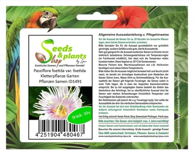Produktbild von 10x Passiflora foetida var. foetida Kletterpflanze Garten Pflanzen Samen ID1491