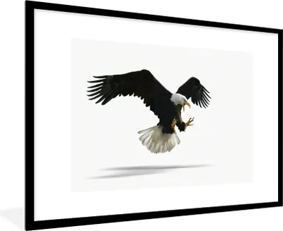 Produktbild von MuchoWow® Gerahmtes Poster Adler - Vogel - Weiß 90x60 cm - Poster mit Schwarzem Bilderrahmen Wandposter Rahmen Foto Bilder - Wanddekoration - Fotos